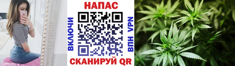 Продажа наркотиков Нерюнгри Каннабис  ЭКСТАЗИ  ГАШИШ 