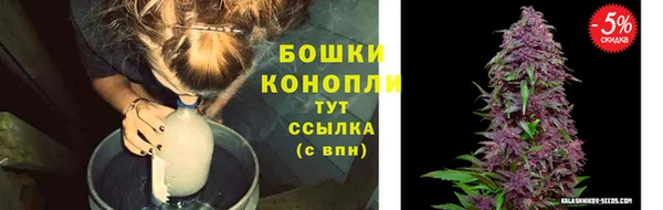 каннабис Беломорск