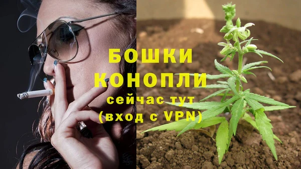 каннабис Беломорск